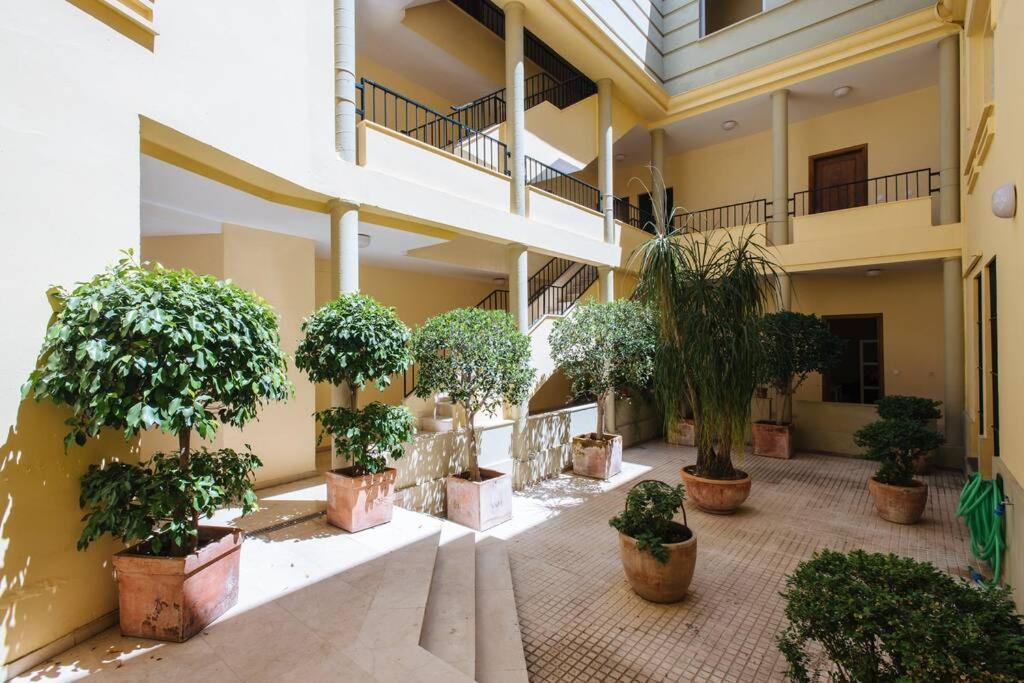 Cozy And Well Located Apartment In The Center Of เซบีญา ภายนอก รูปภาพ